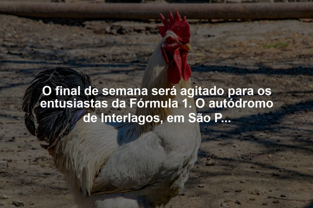 Fórmula 1 em São Paulo: ingressos, programação e transporte; tudo o que você precisa saber para ver pilotos como Lewis Hamilton e Charles Leclerc em Interlagos