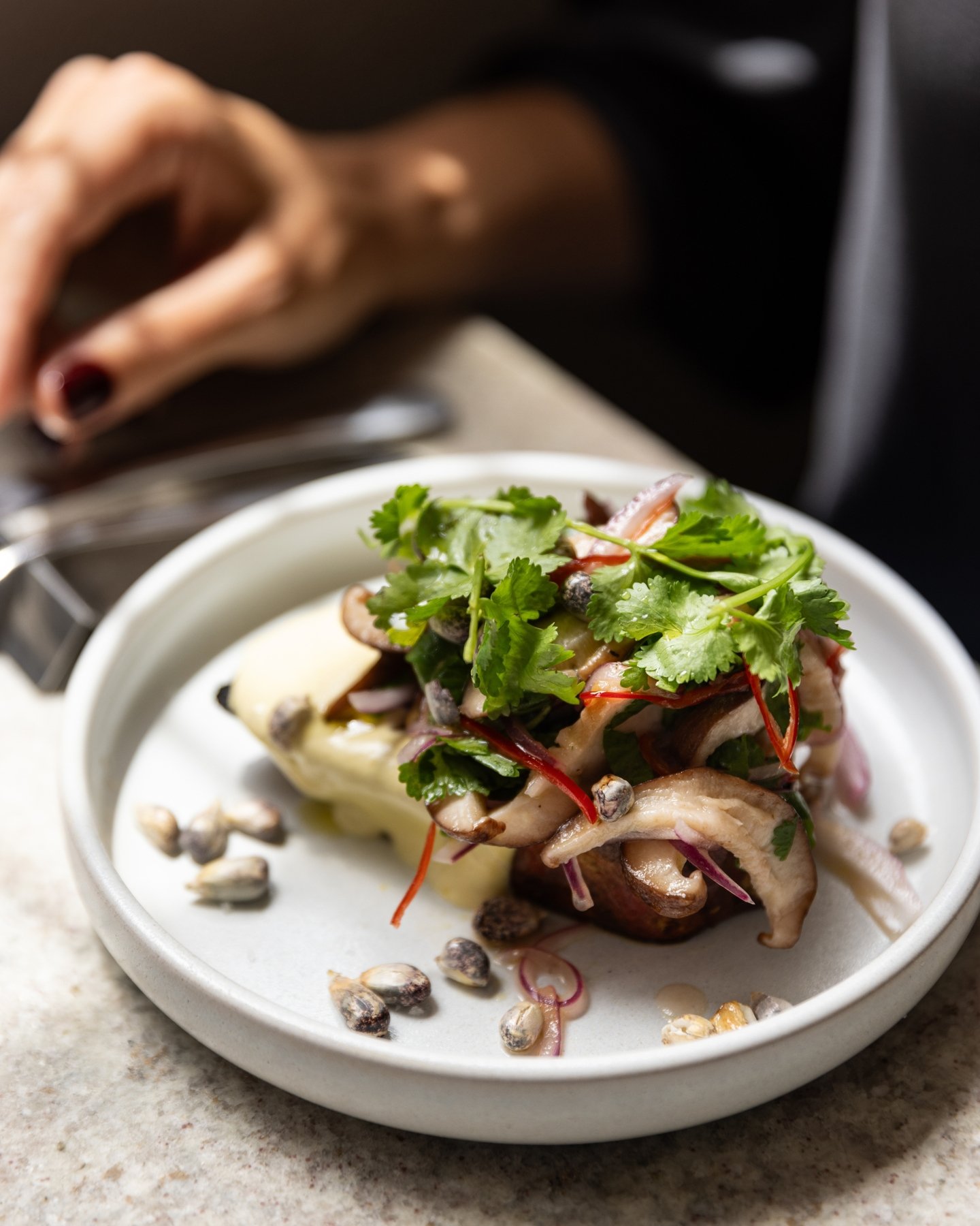 Ceviche de shitake do Cora, em SP: uma das novidades do 50 Best Discovery 2025 