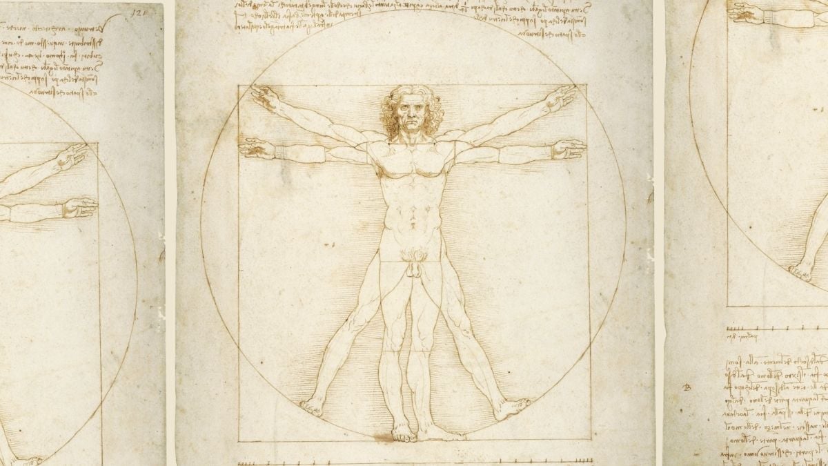 o homem vitruviano obra de arte